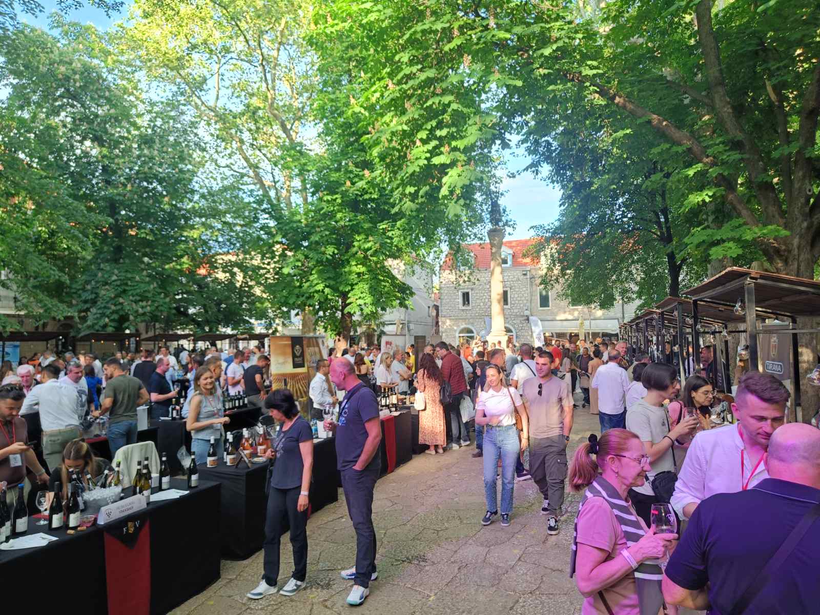festival-vina.jpg