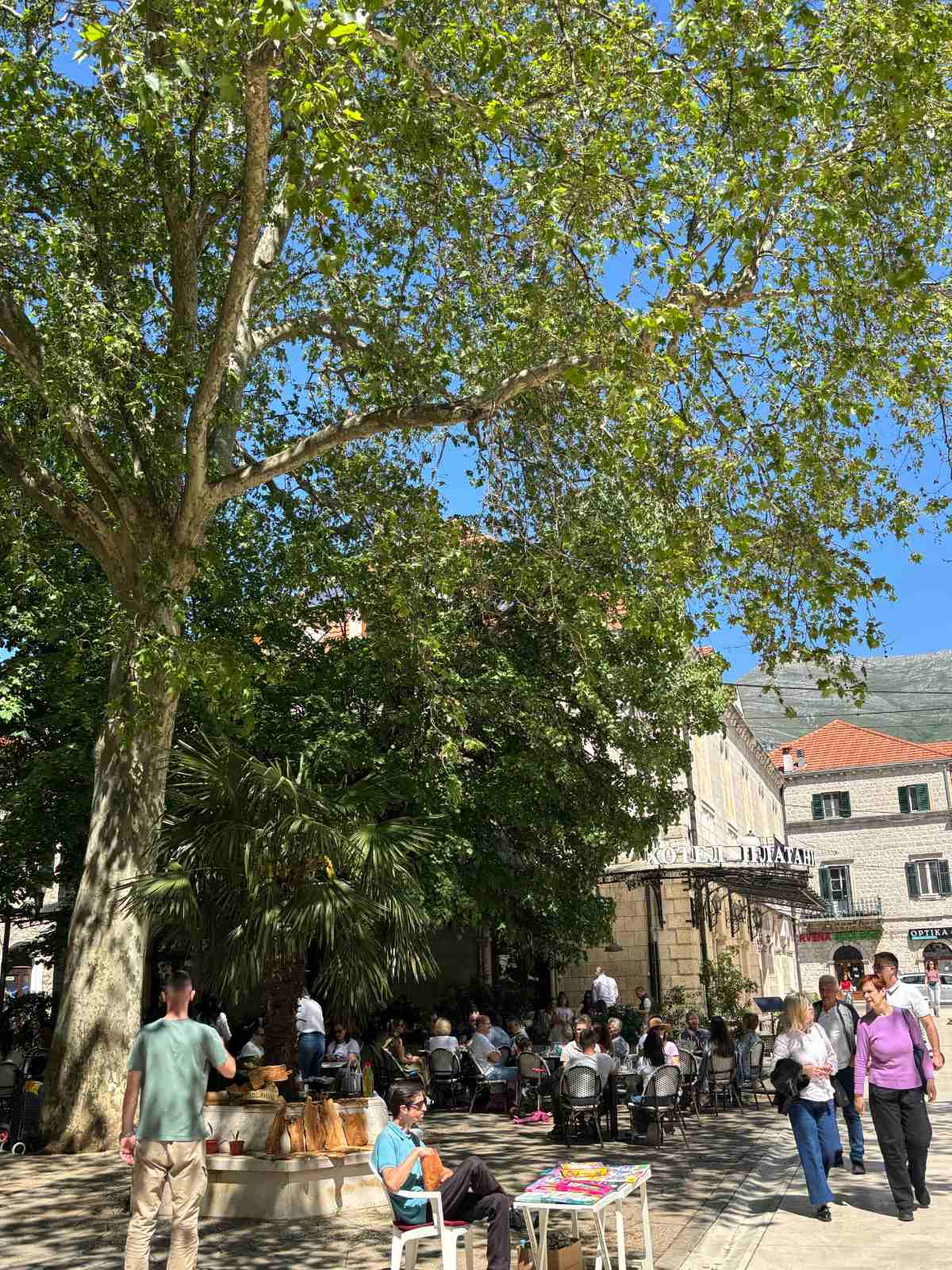 prvi-maj2.jpg