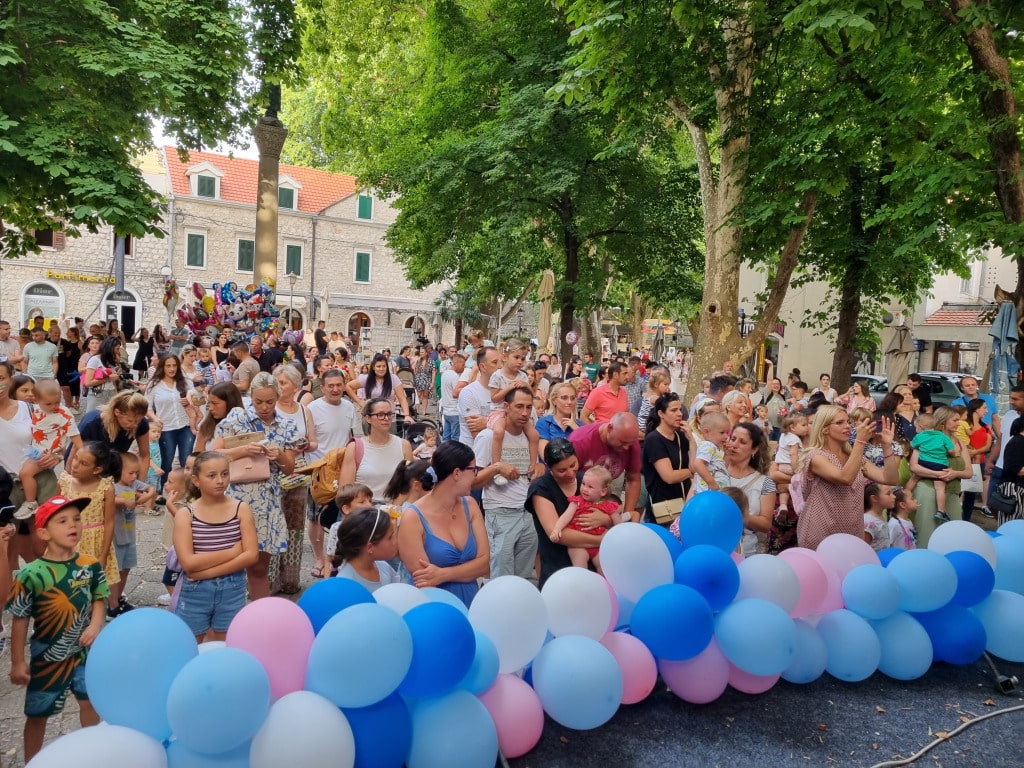 Konferencija beba trebinje 20242.jpg