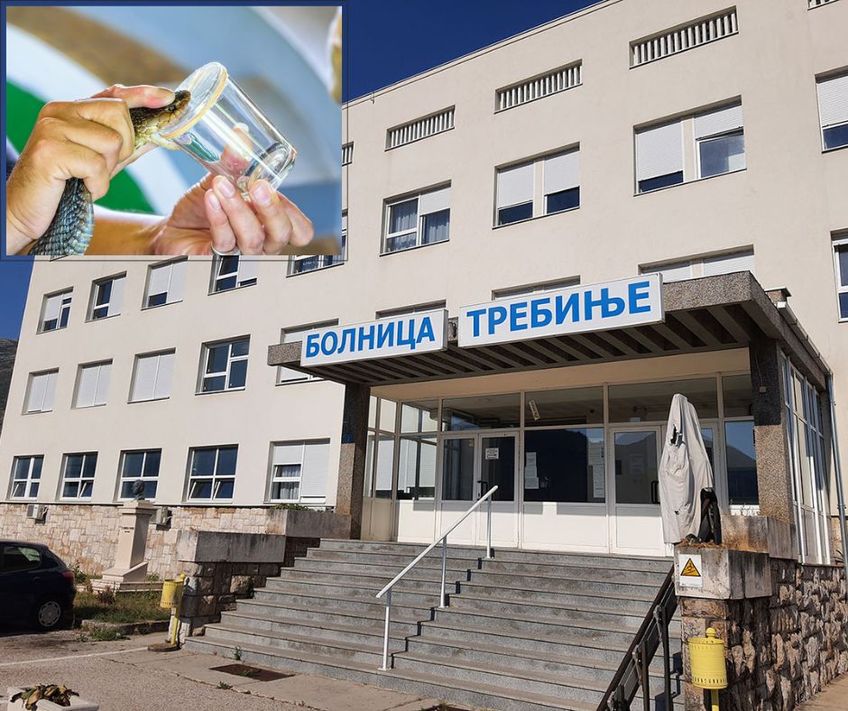 bolnica-trebinje-serum-zmije.jpg