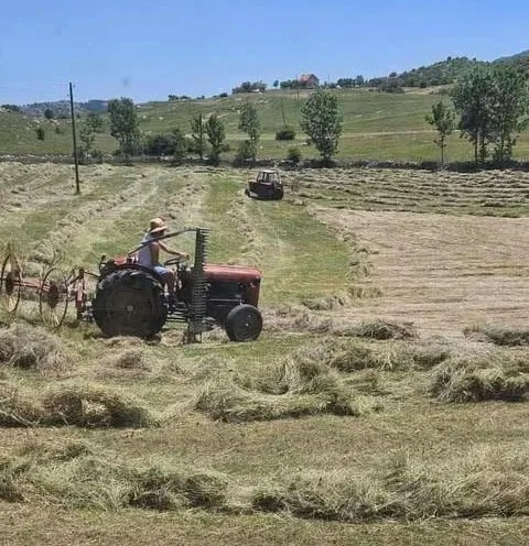 sijelo-gacko.jpg