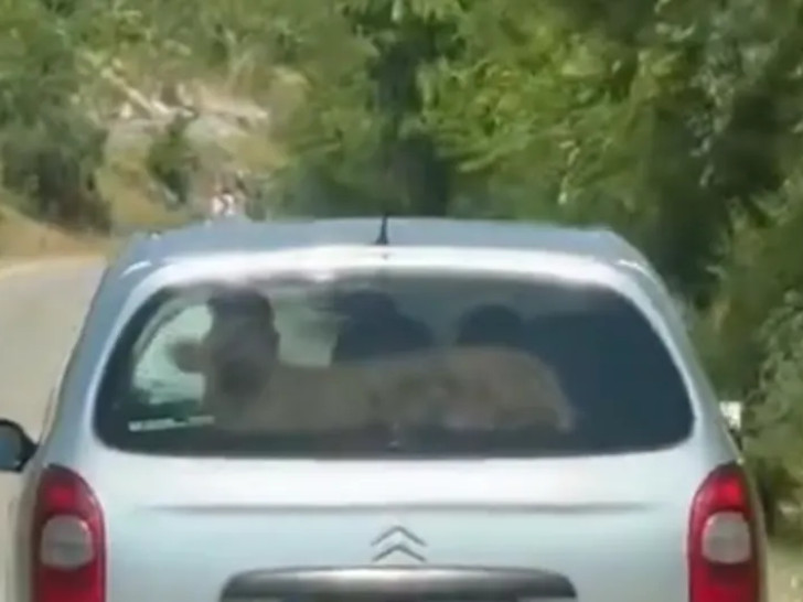 tele-auto-hercegovina.jpg
