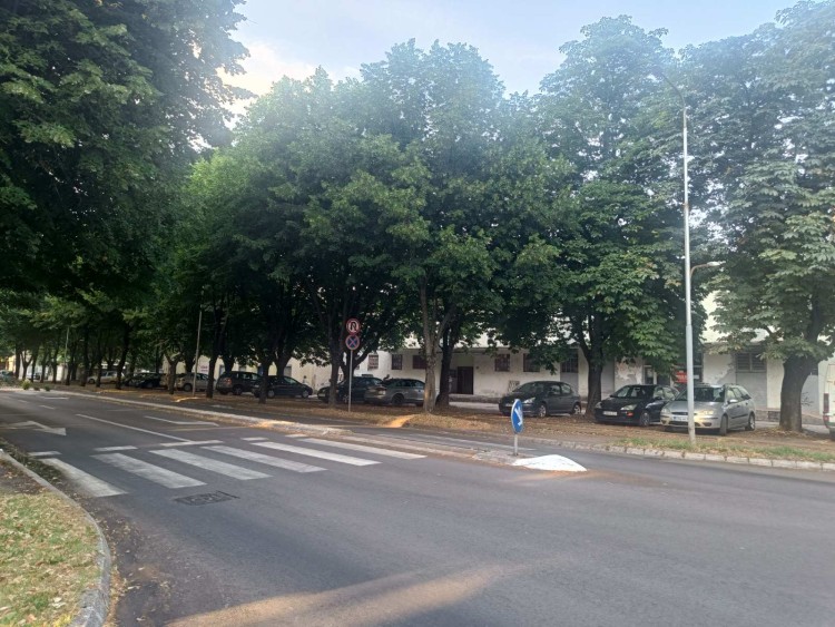 ulica-trebinjskih-brigada-tb1 (1).jpg