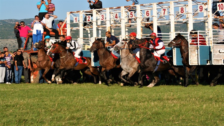Nevesinjska olimpijada (1) (1).jpg