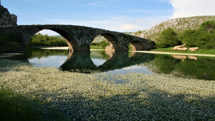 most Ovčiji brod (1).jpg