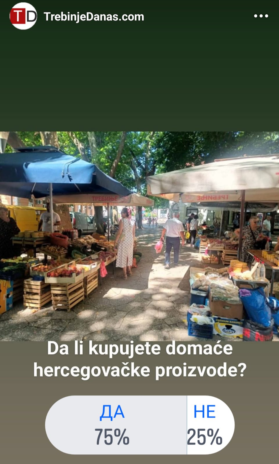pijaca-anketa.jpg