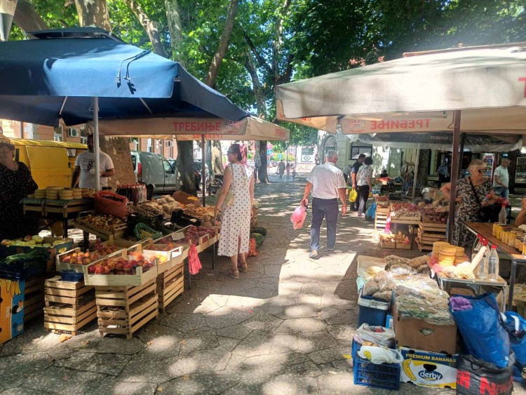 pijaca-jul3 (1).jpg