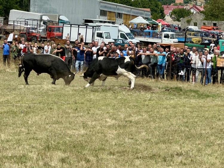 borba-naslovna (1).jpg