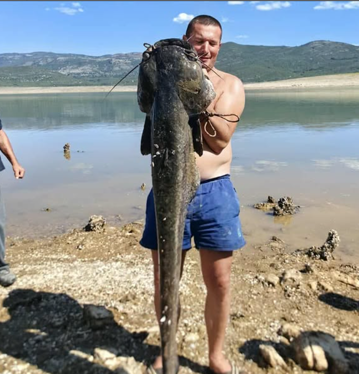 Screenshot 2025-09-22 080500.png