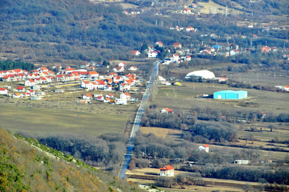 berkovici (1).jpg