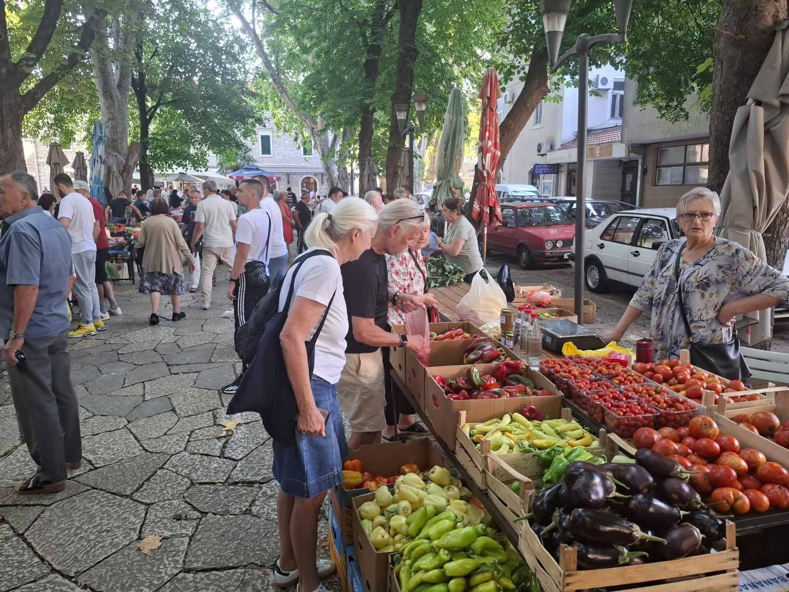 pijaca-septembar2.jpg