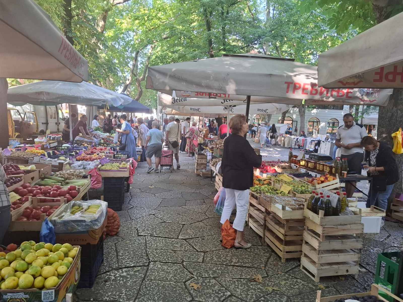 pijaca-septembar3.jpg