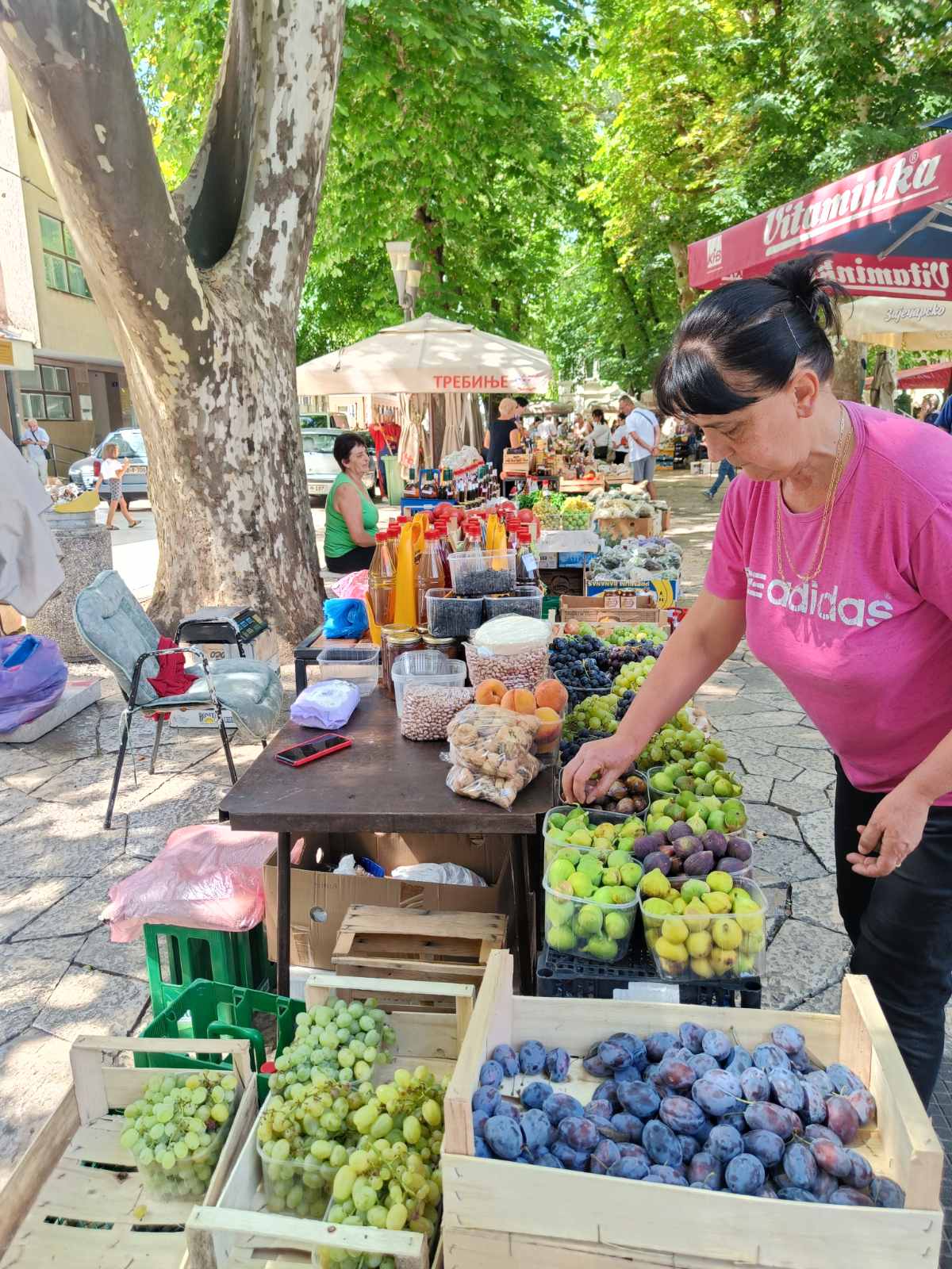 pijaca-septembar4.jpg