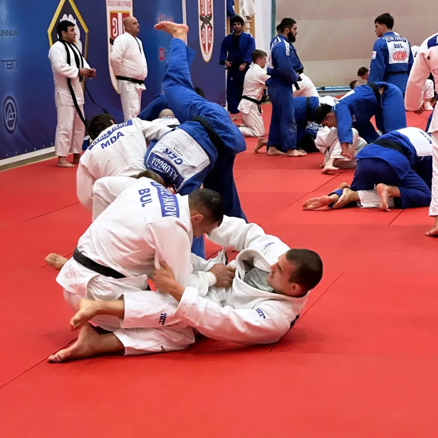 Bozidar vucurevic.jpg