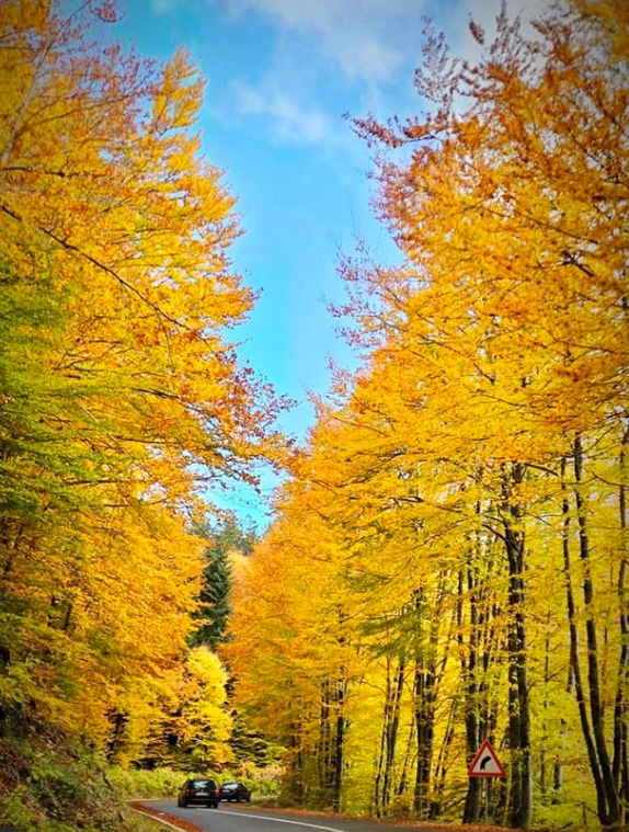 Screenshot 2025-10-28 112204.png