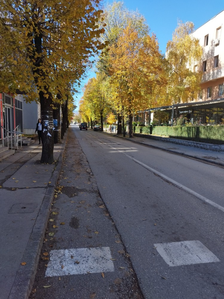 jesen--scaled (1).jpg