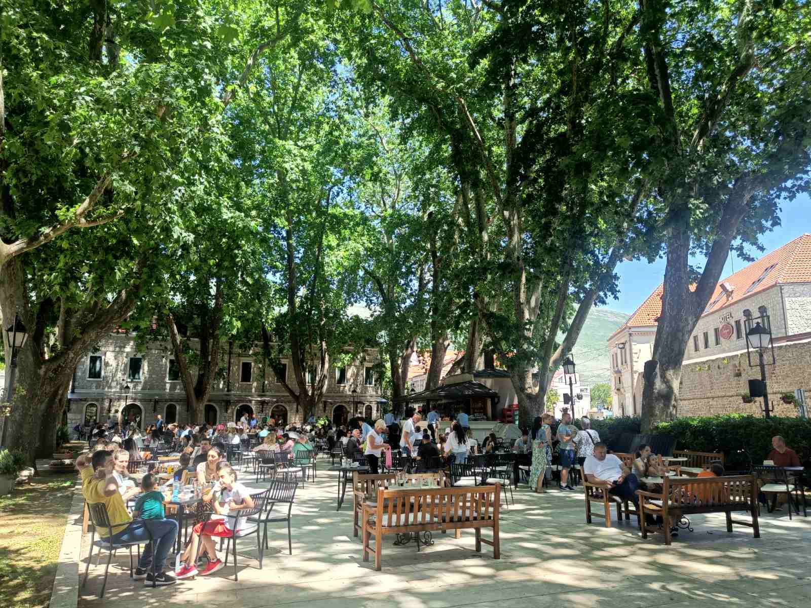 platani-ispijanje-kafe.jpg