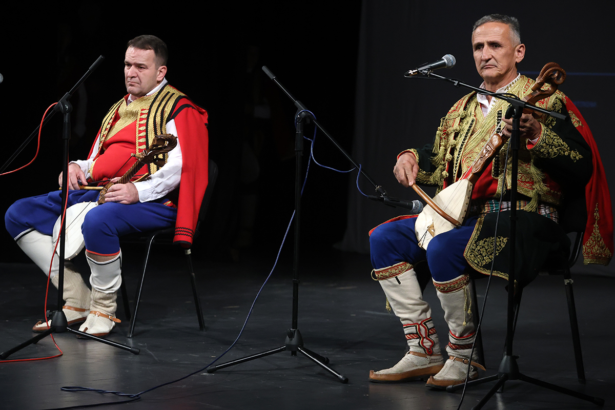 Gusle iz bloka 1.jpg