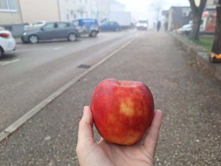 bileca-jabuka-slaba (1).jpg