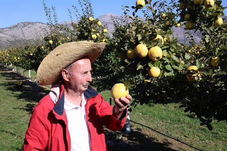 danile-skero (1).jpg