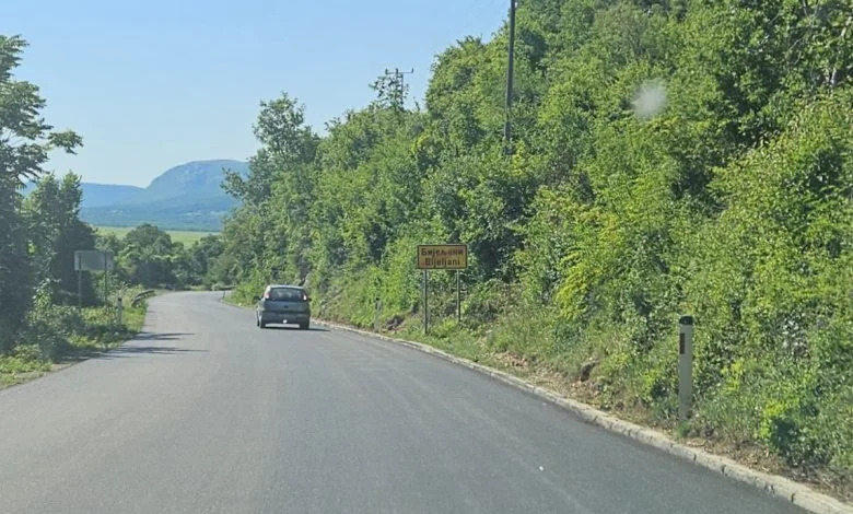 Berkovici (2).jpg