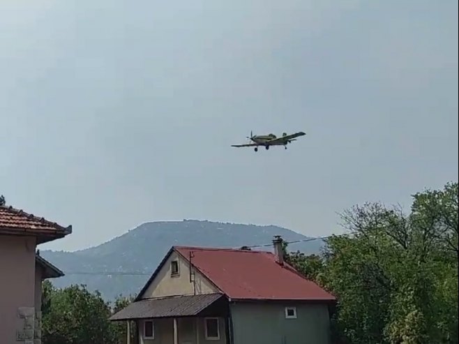 316598.jpg