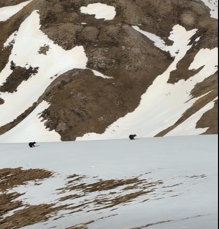 Screenshot 2026-03-18 143054.png