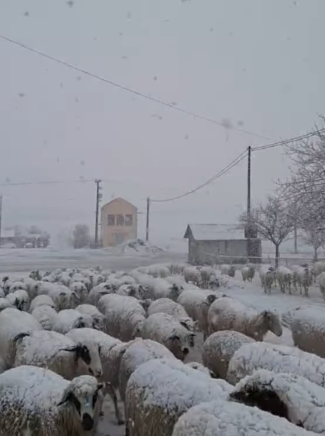 Screenshot 2026-03-26 171425.png