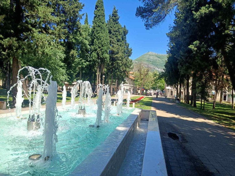 fontana-tb (1).jpg