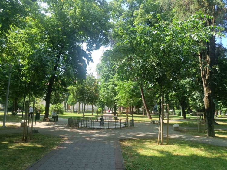 park (1).jpg